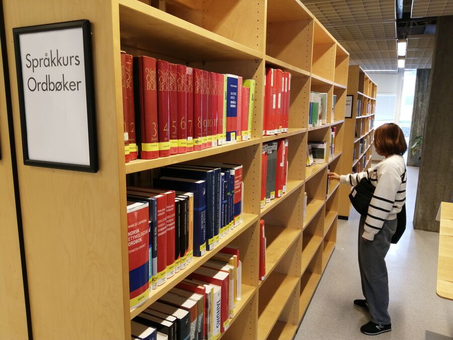 A language course is one of several ways to learn Norwegian. Språk kurs lære