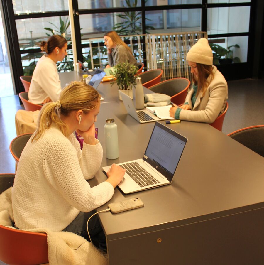 Hos oss finner du grupperom, stille lesesal og vanlige arbeidsplasser. (Foto: Reidar Bjorvatn) studenter leser